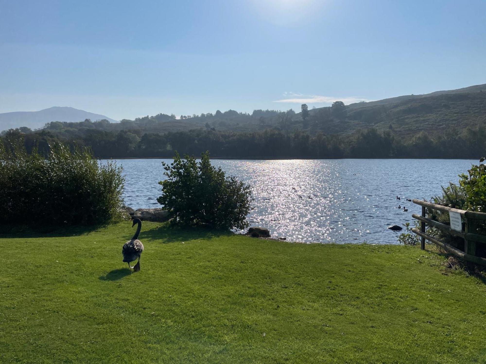 No 61 Brynteg Country & Leisure Retreat Villa Cwm-y-glo Exterior photo